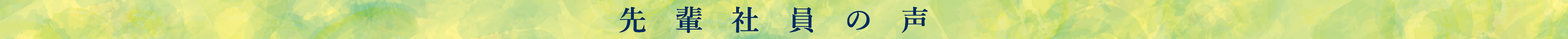 先輩社員の声