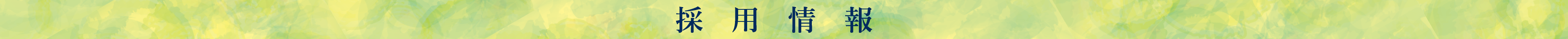 採用情報